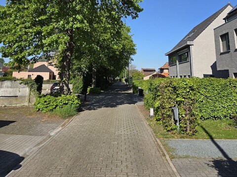 Het Lindenpad in O.-L.-V.-Olen.