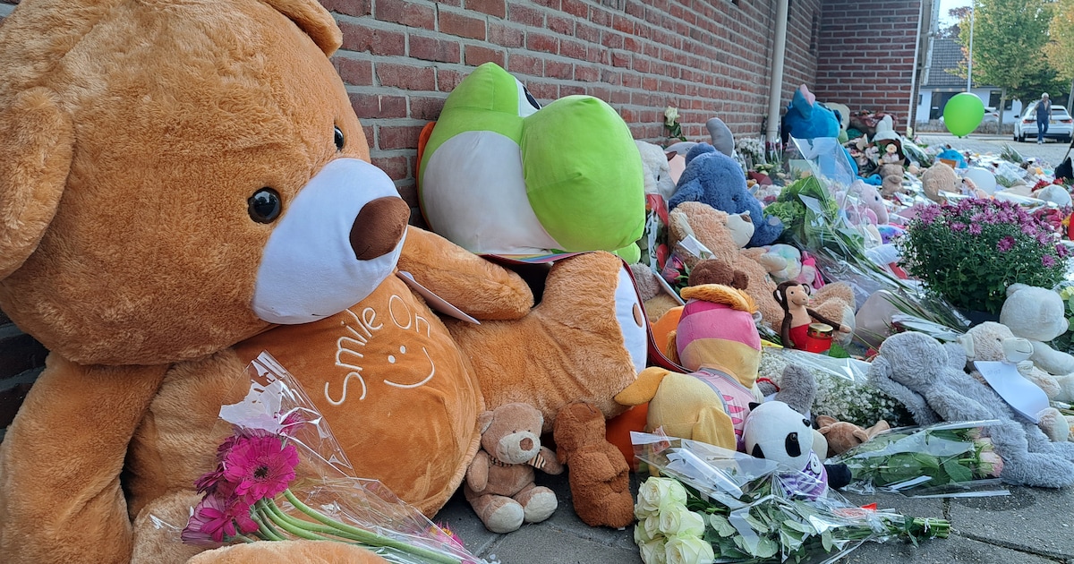 Politie: zo goed als zeker geen anderen betrokken bij gezinsdrama Terneuzen