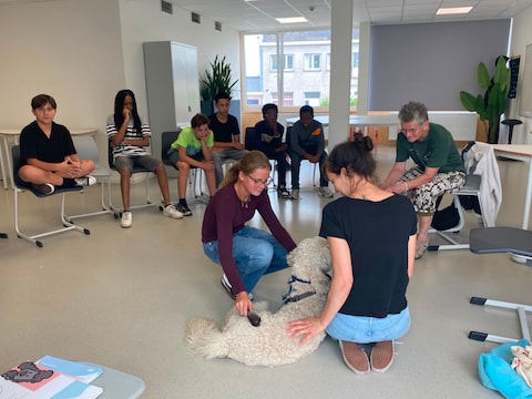 Zomerschool in GO! atheneum Geraardsbergen.