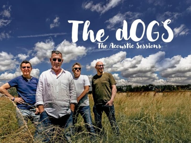 The dOGS viert na twee jaar in Amerika rentree met akoestisch optreden in Antwerpen