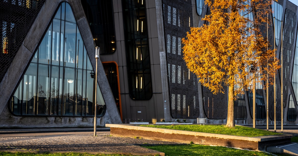 Grootvader (59) uit Leopoldsburg krijgt celstraf voor verkrachting en misbruik van vierjarige kleind