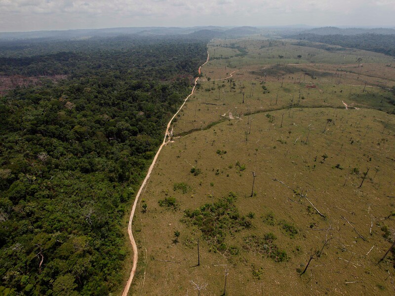 Natuurgebied bij het Braziliaanse Novo Progresso.