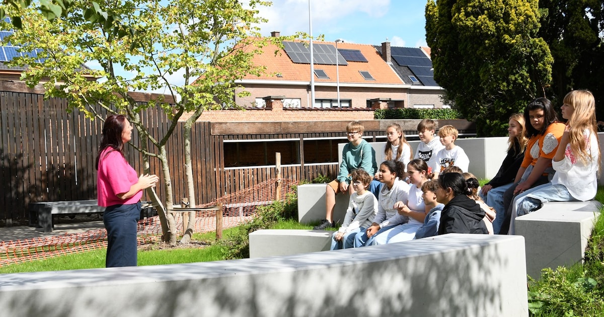 leiepoort-sint-vincentius-heeft-nieuwe-groene-long-met-buitenklas