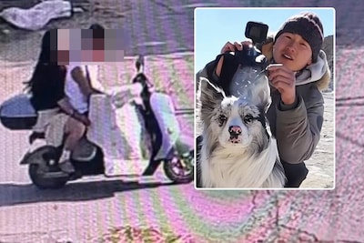 Beroemde Chinese hond met 1,5 miljoen volgers “gestolen, ver