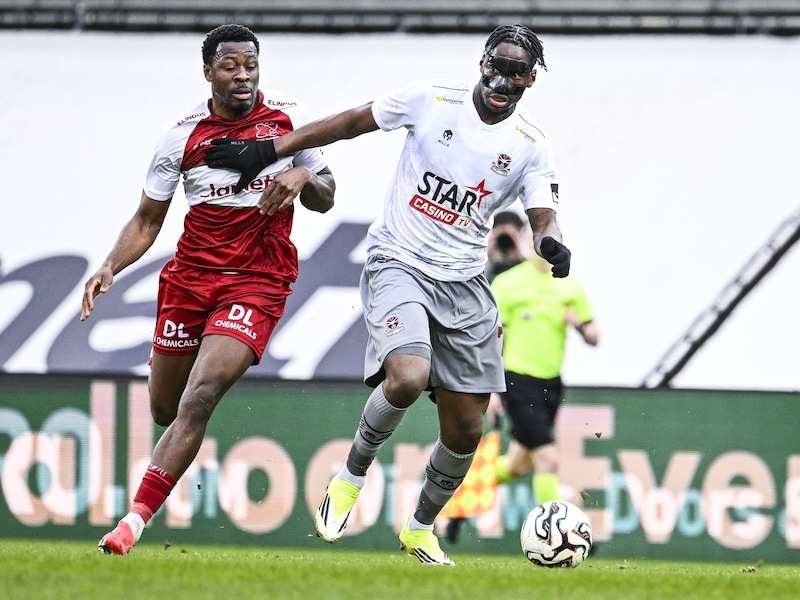 “We willen hen het leven zuur maken”: Enrique Lofolomo en Zulte Waregem gaan vol voor winst in Sint-Truiden