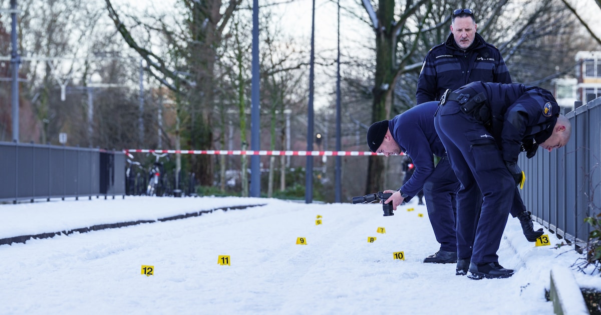 Ruzie om sneeuwballengevecht wordt Nederlander (60) vermoedelijk fataal, twee  tieners gearresteerd | Buitenland | HLN.be