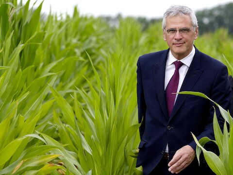 Kris Peeters op 7 augustus in Wetteren.