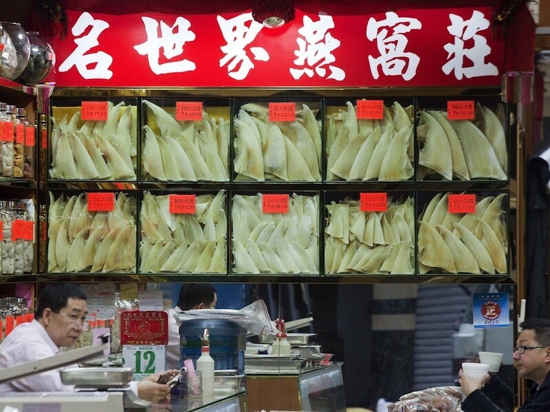 Een haaienvinhandelaar in Hong Kong.