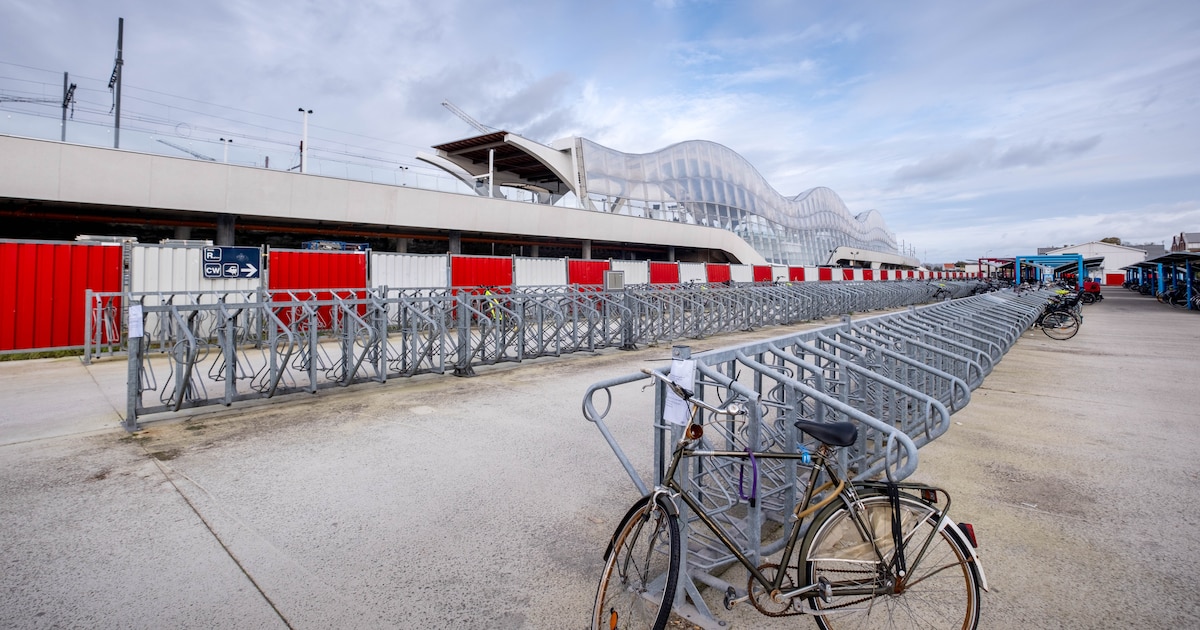 Jongeman schuldig aan diefstal van zeven fietsen: “Hij wilde één fiets verkopen aan een politie-insp