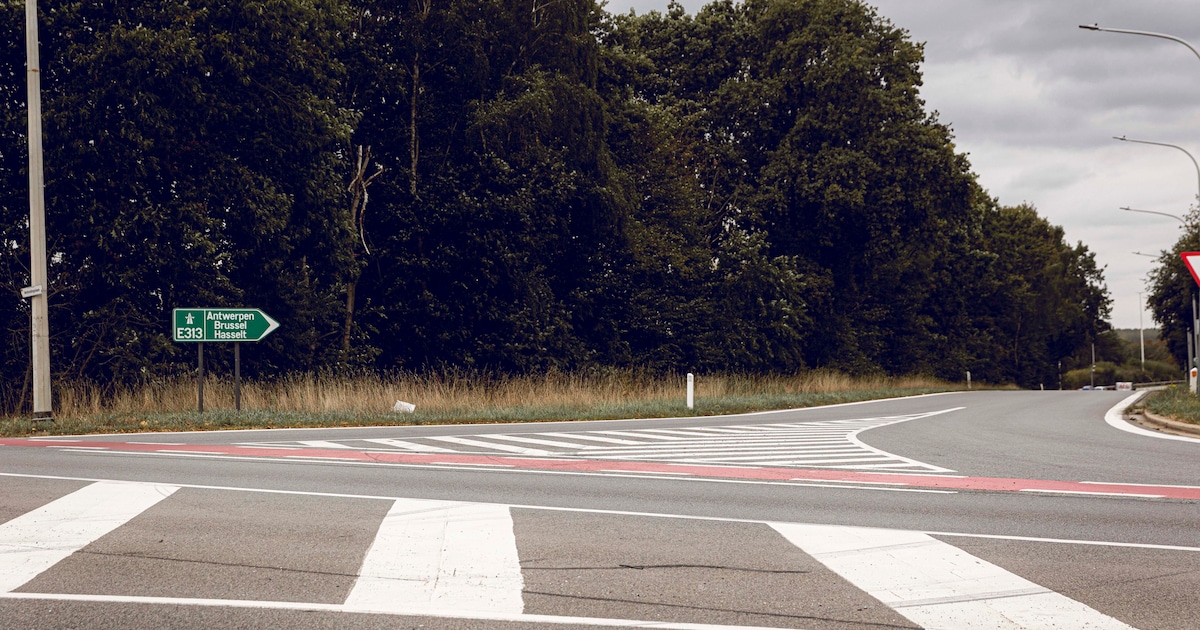 Hasselt pakt bermen langs gewestwegen aan: “Drastisch, maar nodig voor verkeersveiligheid”