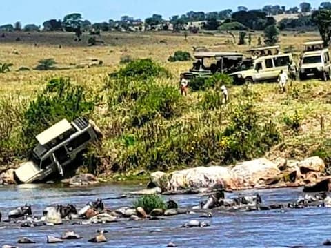 Safari loopt fout in Tanzania: jeep met toeristen crasht in rivier vol krokodillen