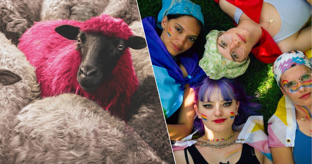 “Het verschil maken kan hier”: Ciné Solidair brengt hoopvolle cinema naar Hasselt