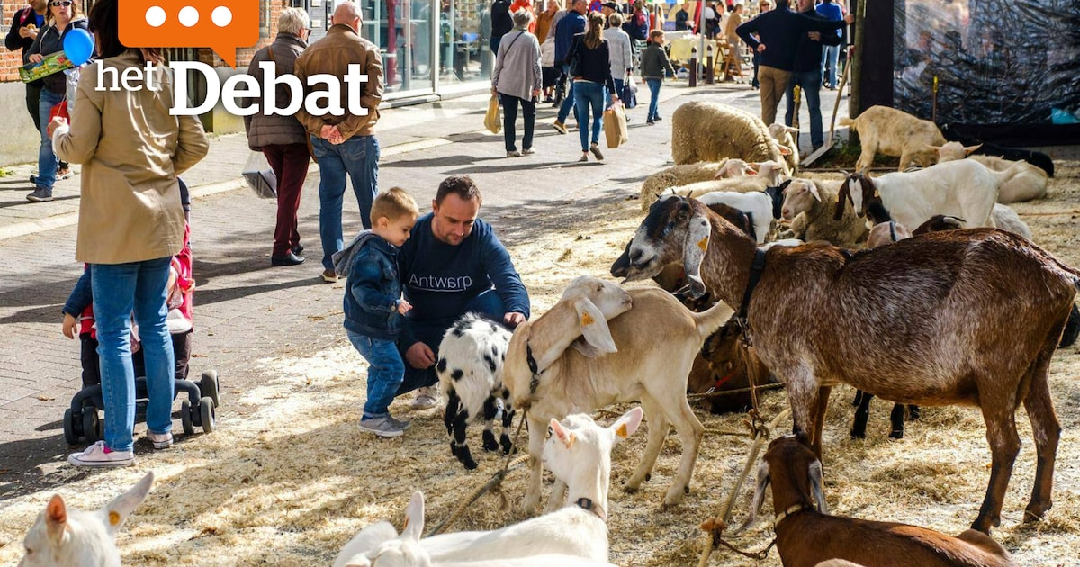 “Dieren horen op de jaarmarkt”: lezers grotendeels teleurgesteld over afschaffing dierententoonstell