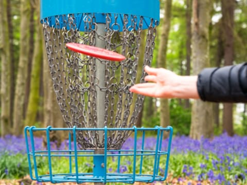 Illustratiebeeld discgolf.