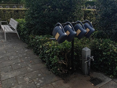 Een gieterboom op een begraafplaats in Kasterlee