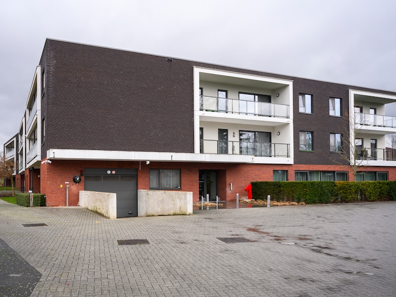 Huis van het Kind houdt gratis workshop over veerkracht voor ouders in Schelle