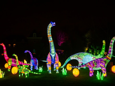 Dinolights vond in 2021-2022  plaats in ZOO Planckendael.