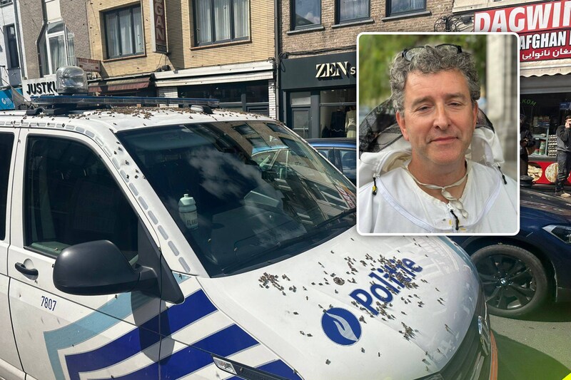 Politie rukt uit voor gigantische zwerm bijen, maar dan wordt ook combi ...