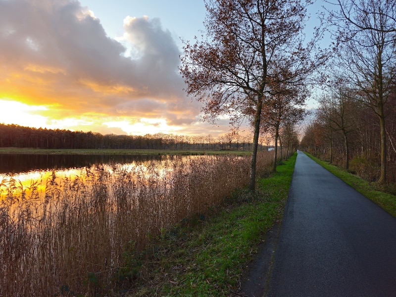 Natuurpunt De Torenvalk zoekt mooiste natuurfoto's voor jubileumexpo