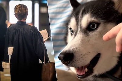 “Ik ga jou en je gezin vermoorden”: ruzie over verzorging van hond eindigt met celstraf in rechtbank