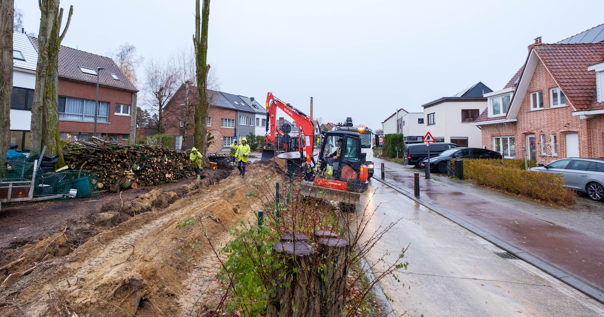 Nutsmaatschappijen bereiden wegnemen wegversmalling Leestsesteenweg voor