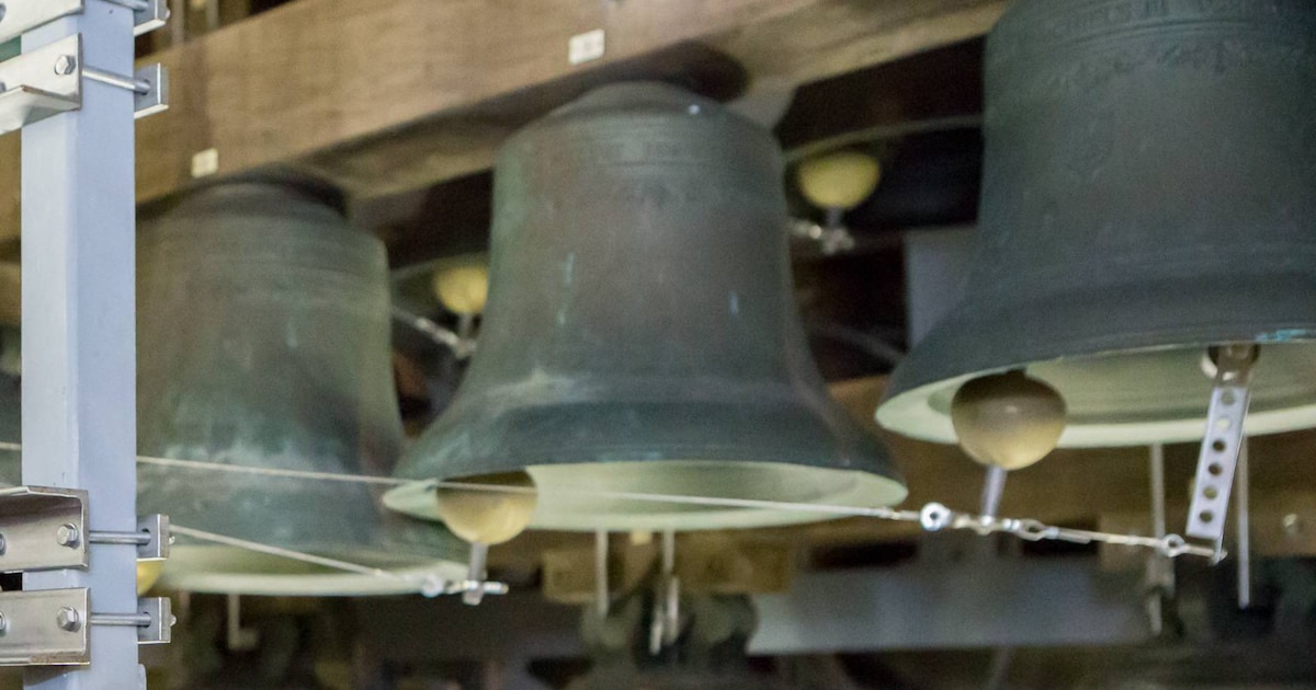Gratis zomerconcerten met ‘het zwaarste instrument ter wereld’ van start