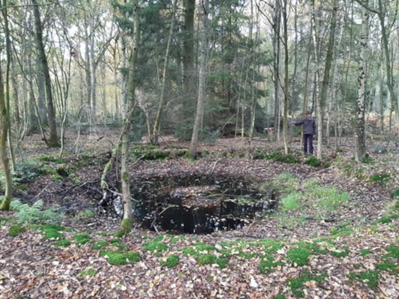 Themabeeld - kraters in het Zoerselbos zijn restanten van inslagen door Duitse V1-bommen 