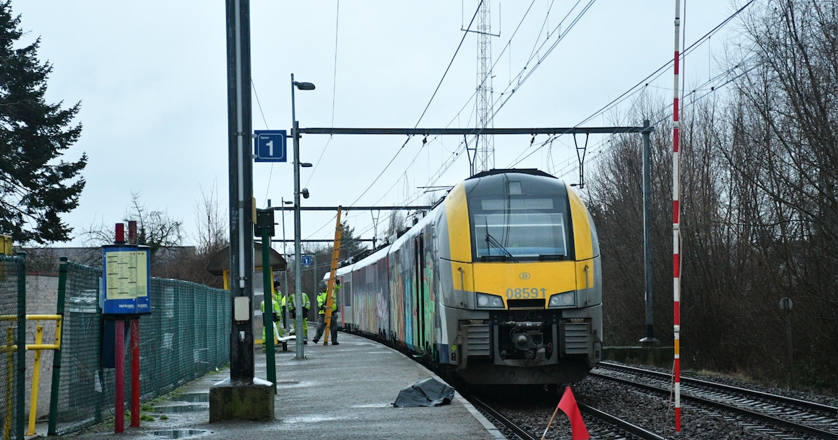 Treinen tussen Puurs en Antwerpen vallen uit door werken van Infrabel