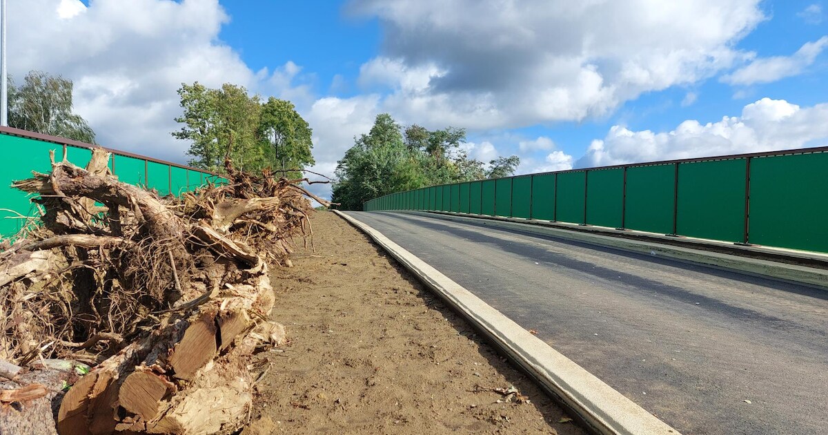 Nieuwe brug Heerbaan over E40 heeft ecologische strook om dieren laten ...
