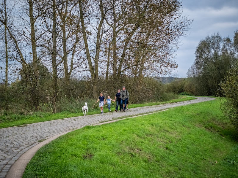 Archiefbeeld van het Webbekoms Broek in Diest. Aan het bezoekerscentrum vertrekt zondag Annendael Wandelt ten voordele van het Kinderkankerfonds.