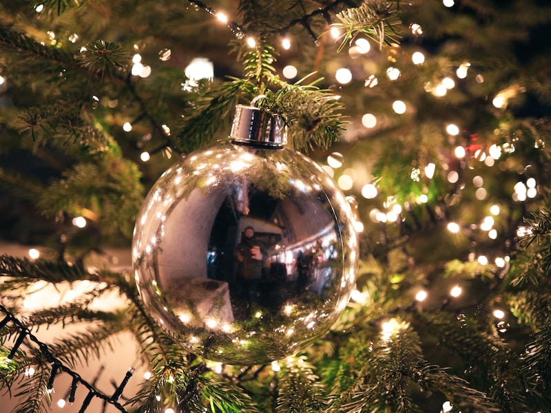 Nieuwe jeugdsite en kerstverlichting centraal op de gemeenteraad van Veurne