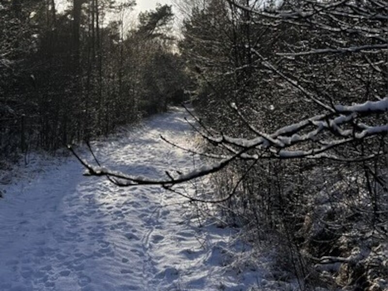Domein Amandina ligt onder prachtig sneeuwtapijt
