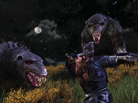 Grafisch is 'LOTRO' oké voor een gratis game, maar ondermaats voor een betalende uitbreiding.