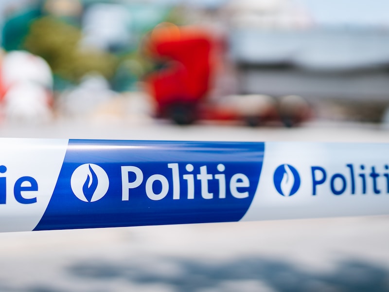 Politielint