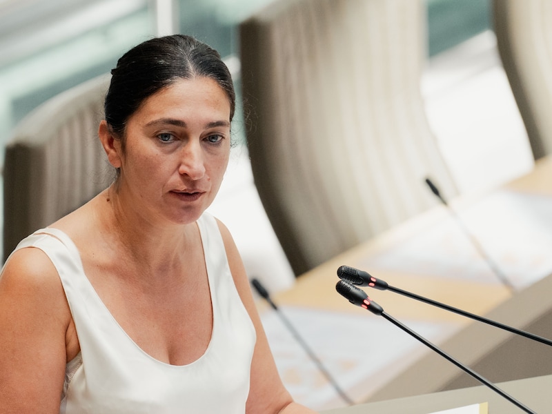 Vlaams minister van Onderwijs Zuhal Demir (N-VA).
