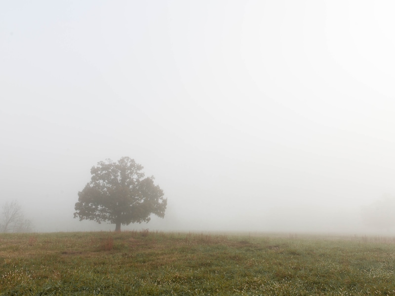 Opklaringen en lokaal nevel of mist in Dessel in de nacht