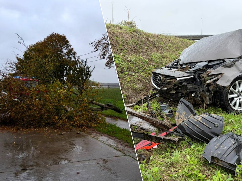 Omgewaaide boom verspert Ieperstraat in Zonnebeke, auto belandt in middenberm op A19