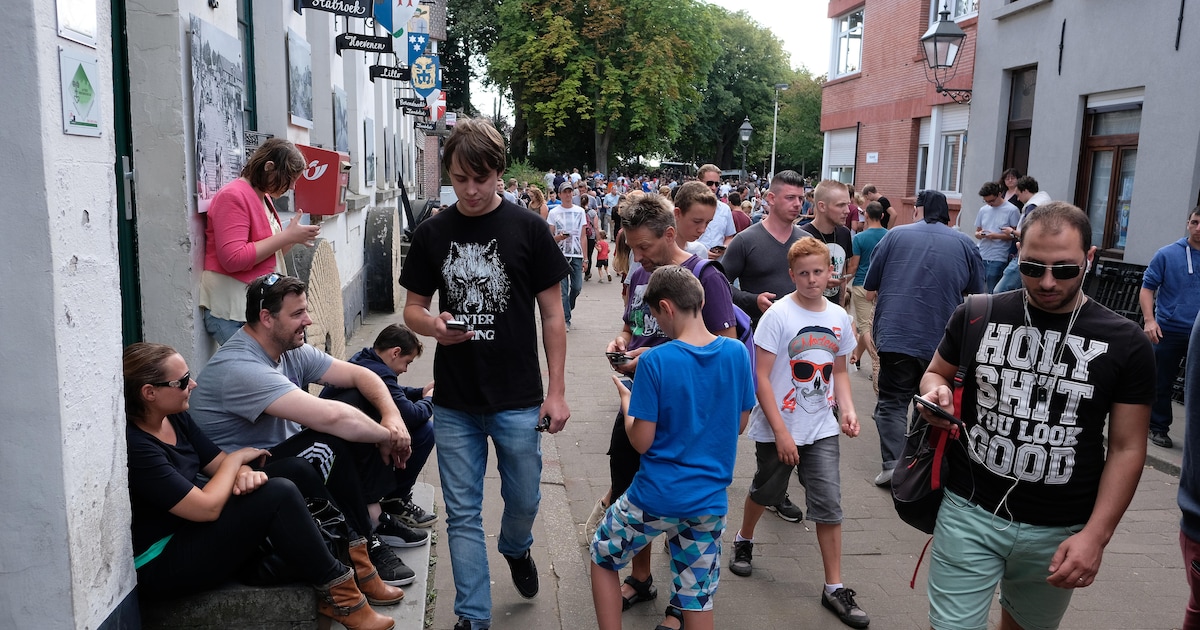 Pokémonoverlast in havendorpje Lillo lijkt achter de rug | Nieuws | HLN.be