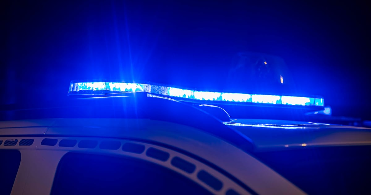 Twee twintigers aangehouden nadat ze op heterdaad betrapt werden op winkeldiefstal in Hasselt