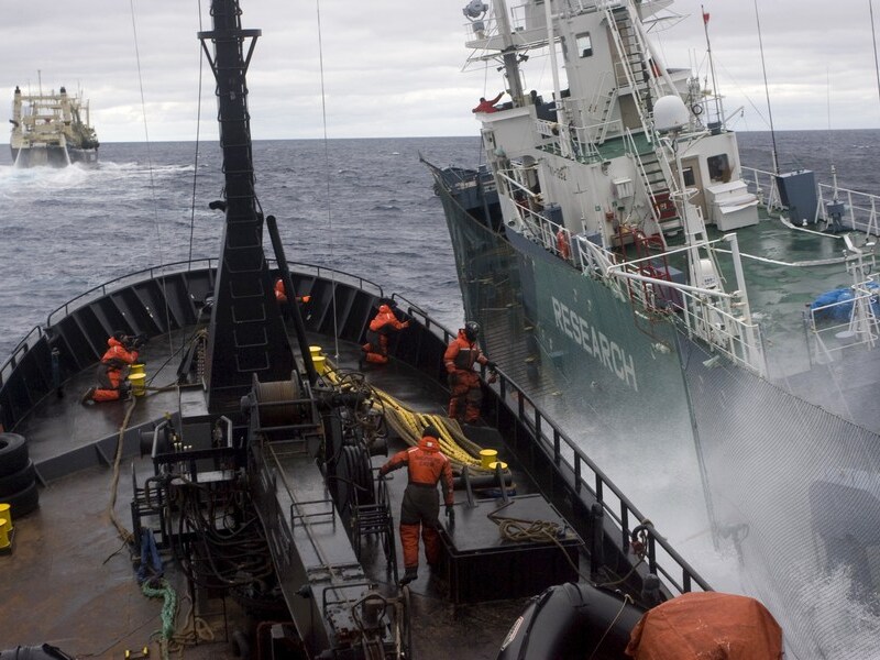 Het schip 'Bob Barker' van Sea Shepherd gaat langszij een schip van de Japanse walvisvloot tijdens een eerdere campagne in de Zuidelijke IJszee.