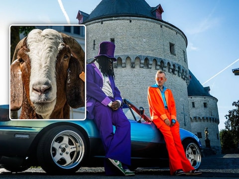 Williams Kaizari en Joeri Verbeeck, tijdens de opnames, aan de Broeltorens / (inzet: een van de getrainde geiten)