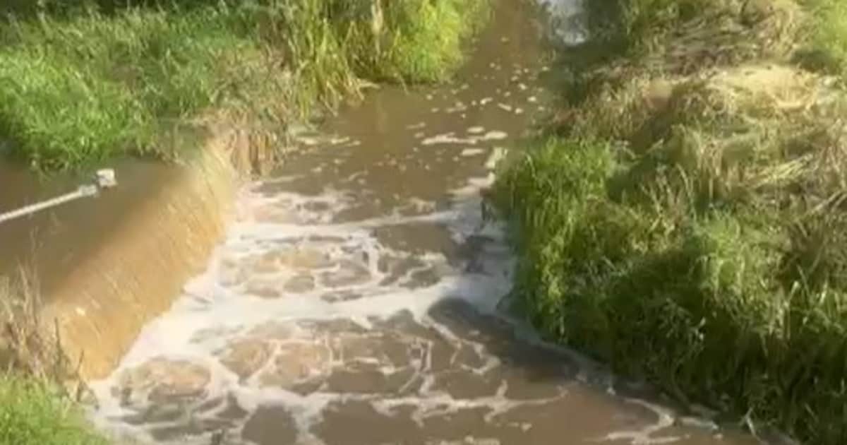 Voorbijganger betreurt waterverlies na ingreep aan beverdam in De Zegge: “Strijd tegen droogte wordt