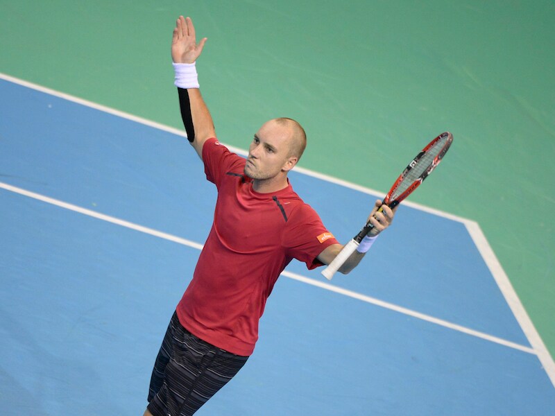 Steve Darcis