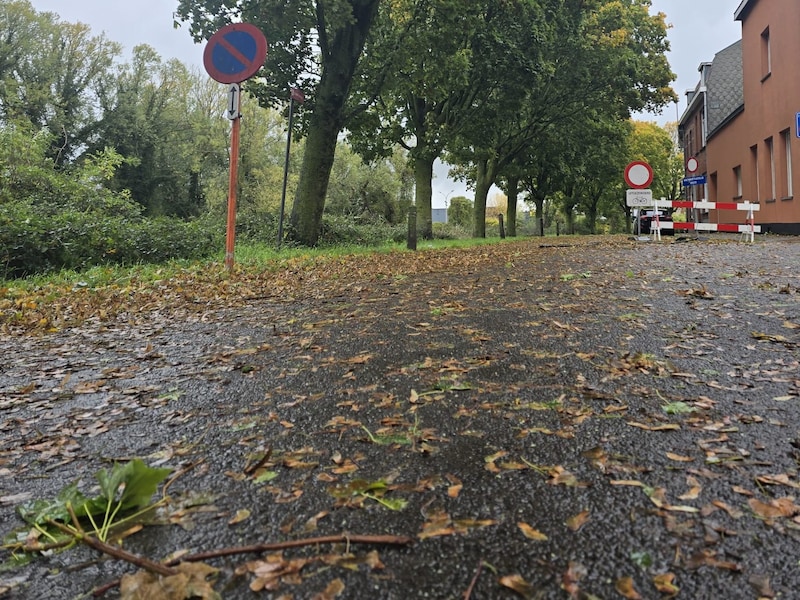 De Oude Vaartstraat in Ieper kleurde groen vandaag. 
