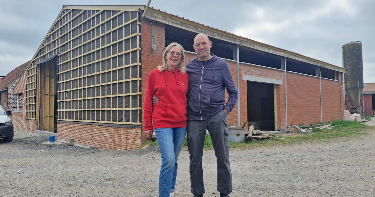Caroline (57) en Luc (56) maken van hun landbouwbedrijf in Ruiselede een zorgboerderij: “Terwijl ze 