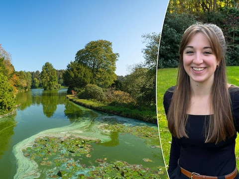 Van blauwalgen kan je goed ziek worden. Emma Gouwy, onderzoekster aquatische biologie aan de KU Leuven (KULAK), legt uit wat je best doet als je ermee in contact bent gekomen.