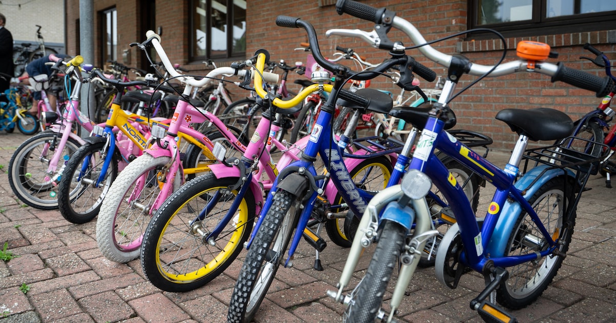 Putte onderzoekt opstart van Fietsbieb: “Staat in ons bestuursakkoord”