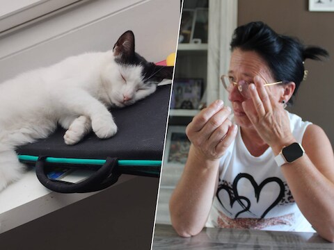 Links: huiskat Diva was de koning te rijk ten huize Van Handenhove. Rechts: Het is met een krop in de keel dat eigenares Cindy over haar geliefde huiskat vertelt: “Ze is sinds 4 jaar een volwaardig deel van ons gezin.” 