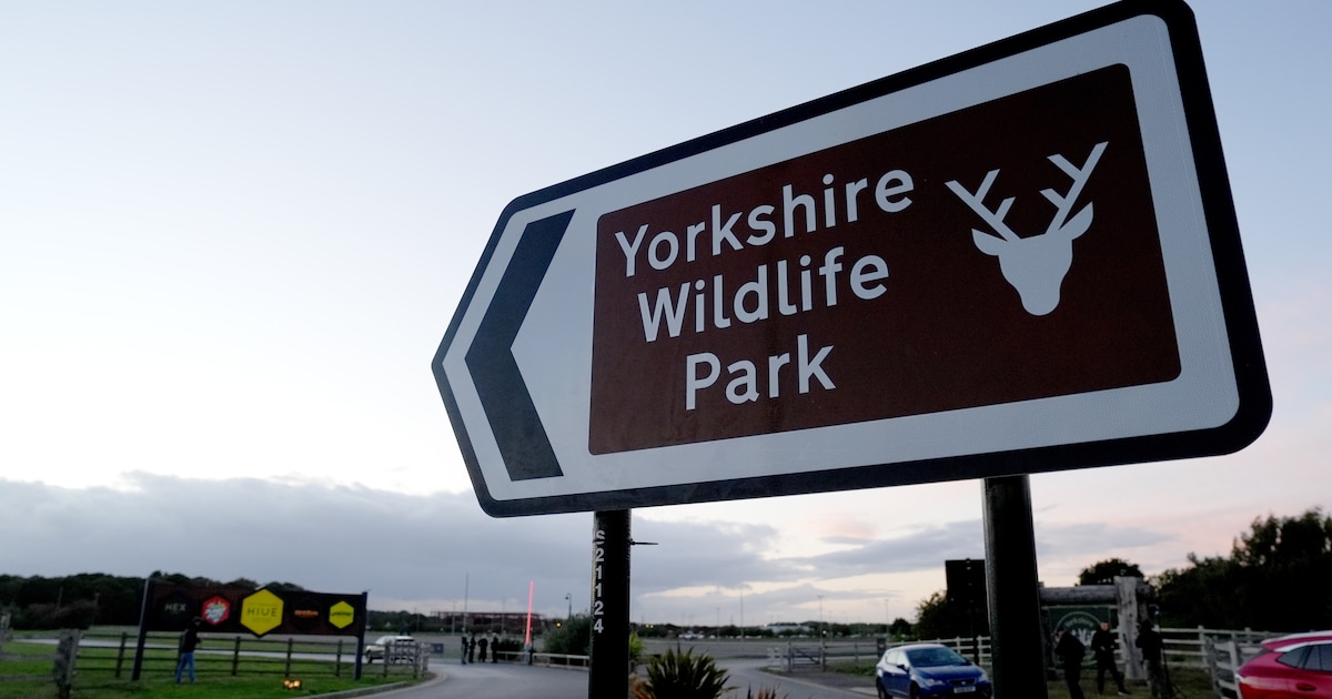 Man sterft in Britse zoo nadat hij in verblijf voor tijgers springt ...