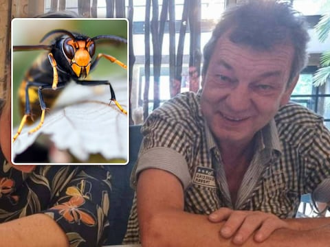 Eddy overleden na aanval door Aziatische hoornaars